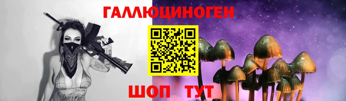 Дедовск  Псилоцибиновые грибы GOLDEN TEACHER  где продают наркотики  Вход с VPN 